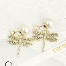 Christian Dior Earrings